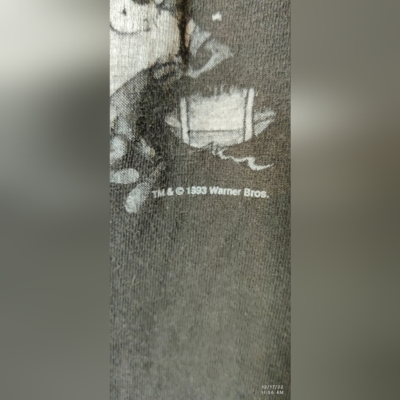 SUPER RARE OLD VINTAGE 1993 RAIDERS TAZ STITCHED EMBROIDERED NFL WARNER BROTHERS - Picture 4 of 7